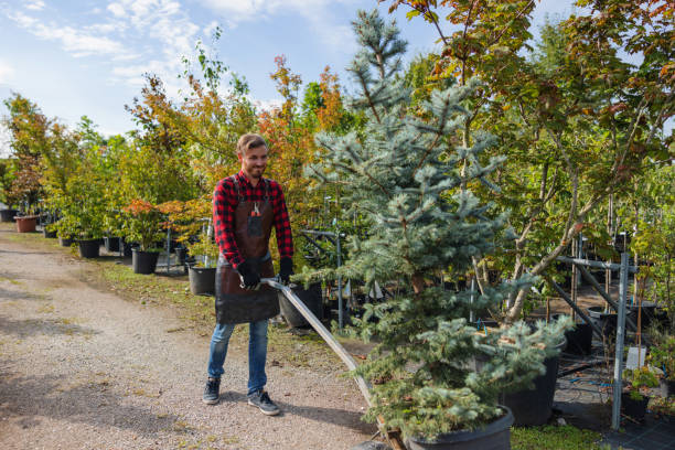 Best Tree Preservation Services  in Caryville, TN
